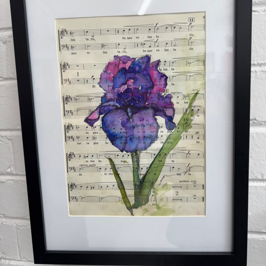 Phantom | Jo Hemmings