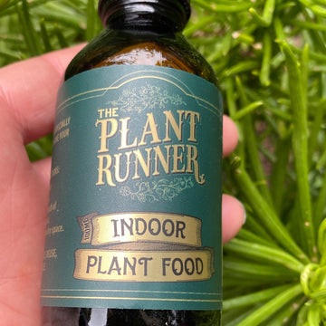 Plant Runner Indoor Plant Food | 100ml