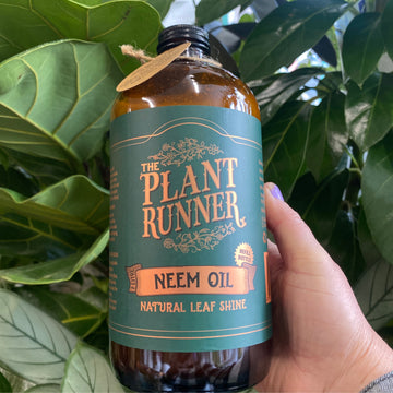 Plant Runner Neem Oil 1L refill bottle