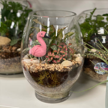 Kit for this small teardrop terrarium (no flamingo)