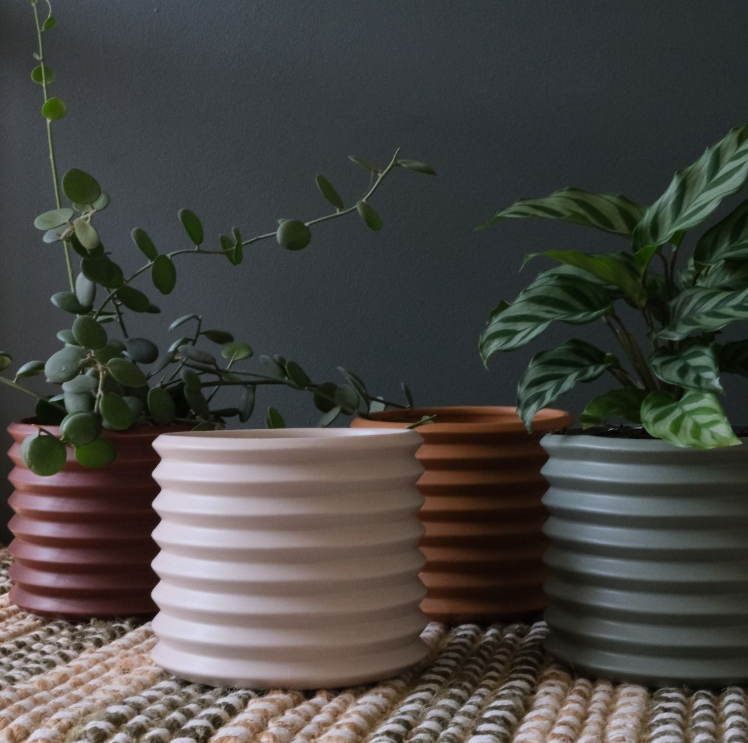 BERLIN PLANTER | SMALL