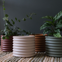 BERLIN PLANTER | SMALL