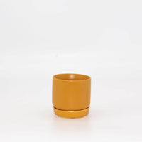 Oslo Planter | Mini | Tobacco | Potted