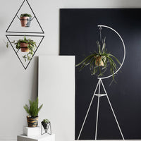 Crescent Plant Stand - White