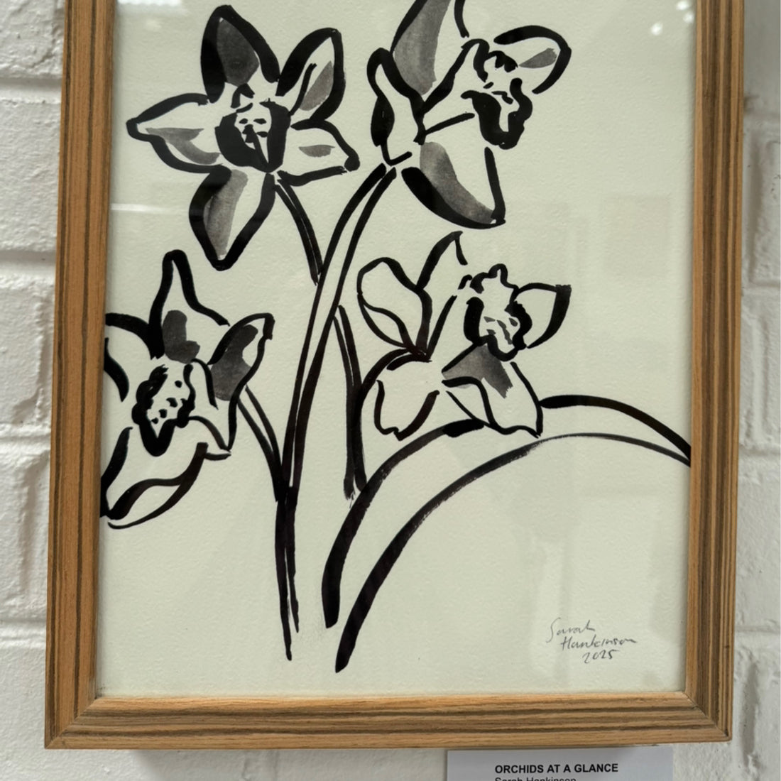 Orchids at a Glance | Sarah Hankinson