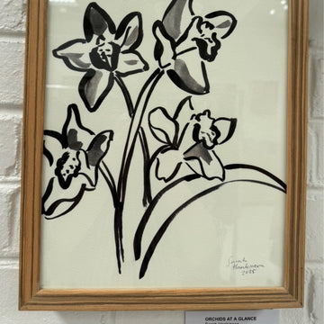 Orchids at a Glance | Sarah Hankinson