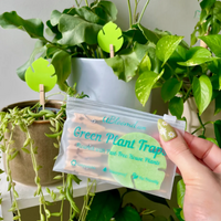 Monstera shaped sticky traps | 10 pack