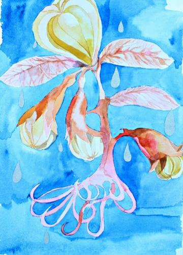 Meditation and Watercolour workshop with Christina Darras