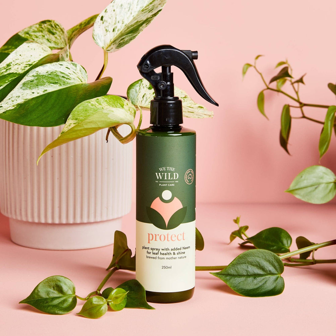 We the Wild Plant Care | Protect Spray With Neem