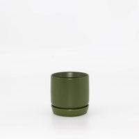 Oslo Planter | Mini | Avocado | Potted
