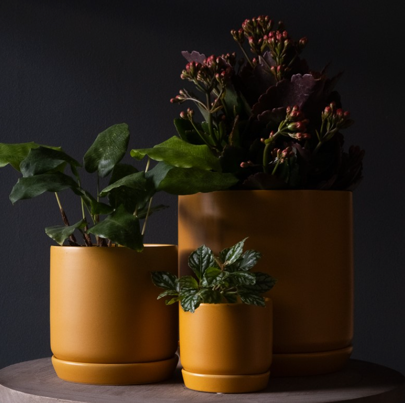 Oslo Planter | Mini | Tobacco | Potted