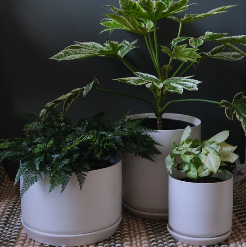 OSLO PLANTER WIDE WHITE