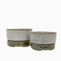 Pollock Planter Limestone | Wide Small | Potted