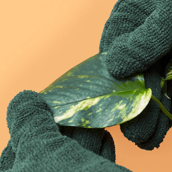 WE THE WILD  Leaf Cleaning Microfibre Gloves