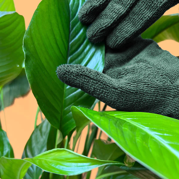 WE THE WILD  Leaf Cleaning Microfibre Gloves