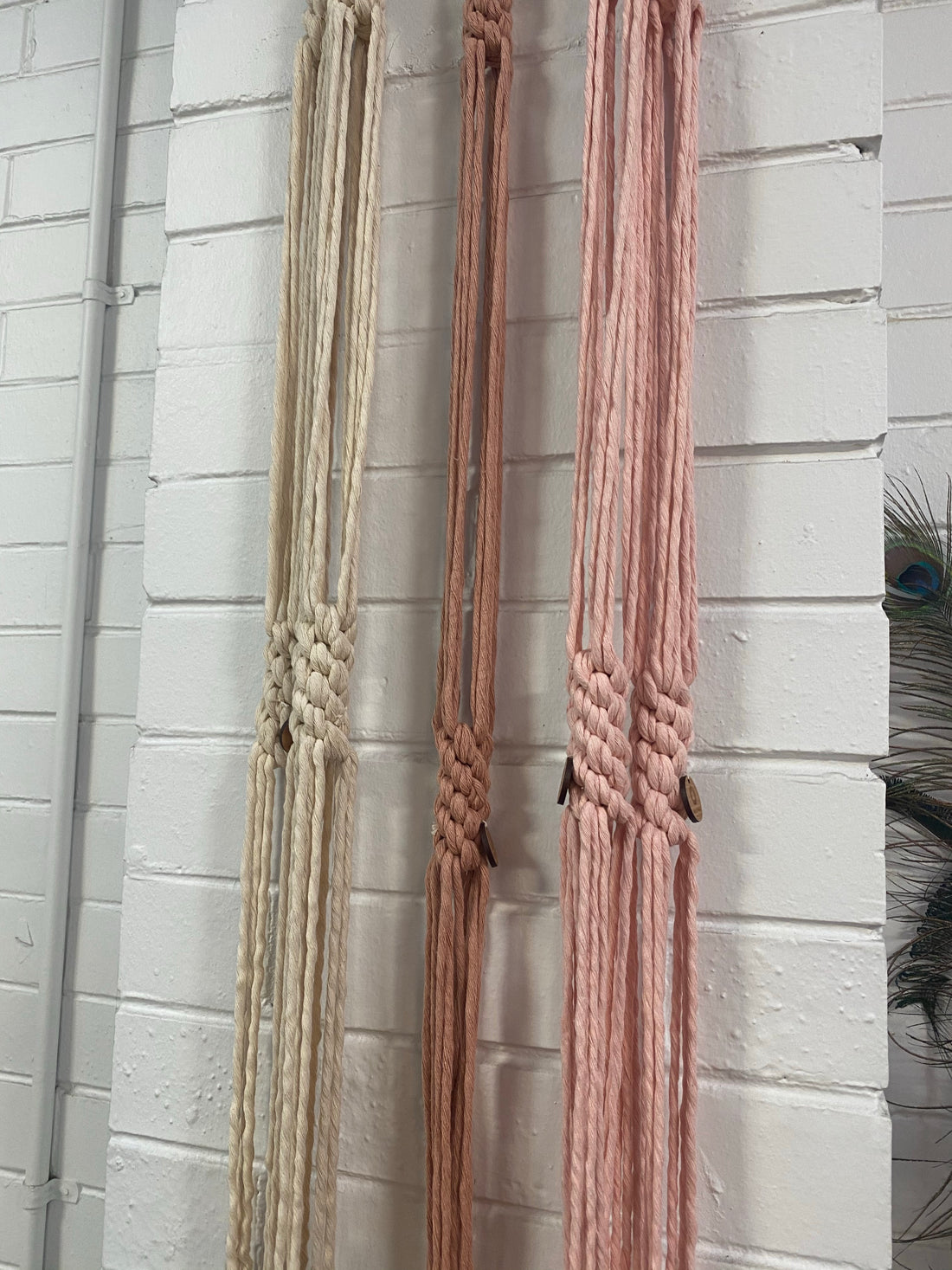 Macrame plant hangers