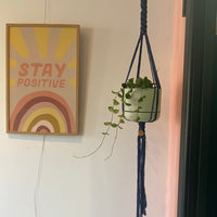 Macrame plant hangers