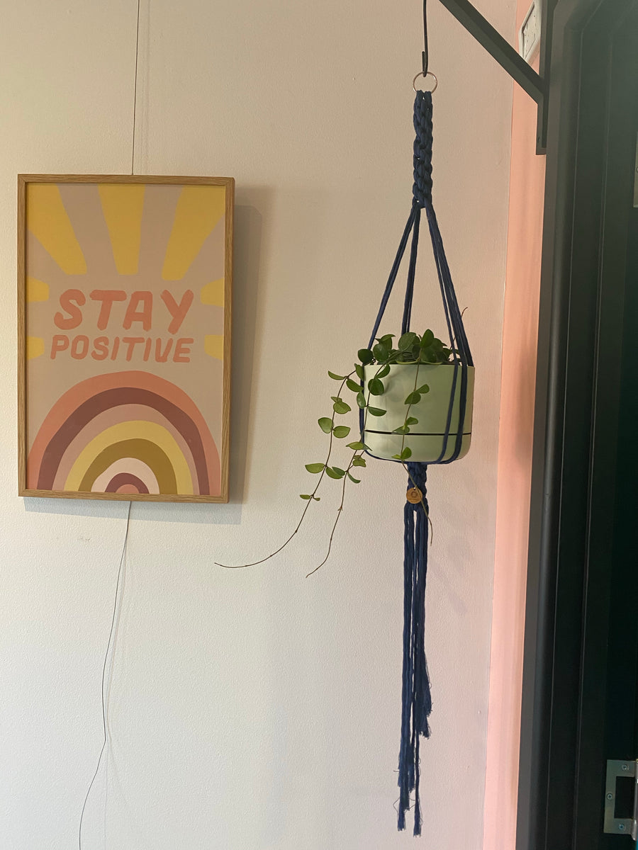 Macrame plant hangers